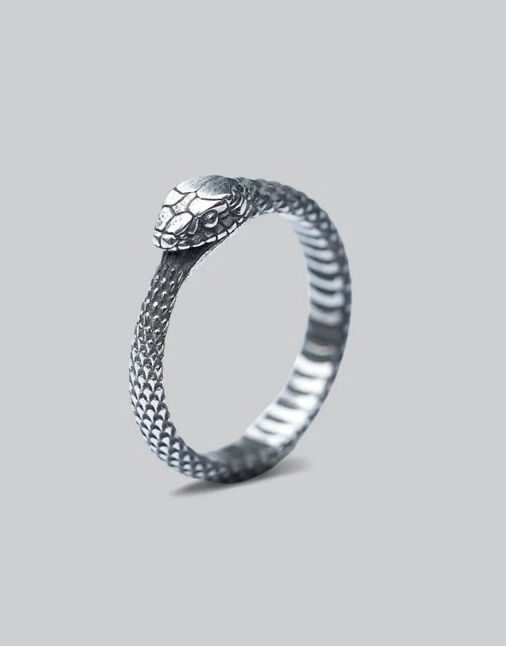 Eternal Loop Ring — product view 1