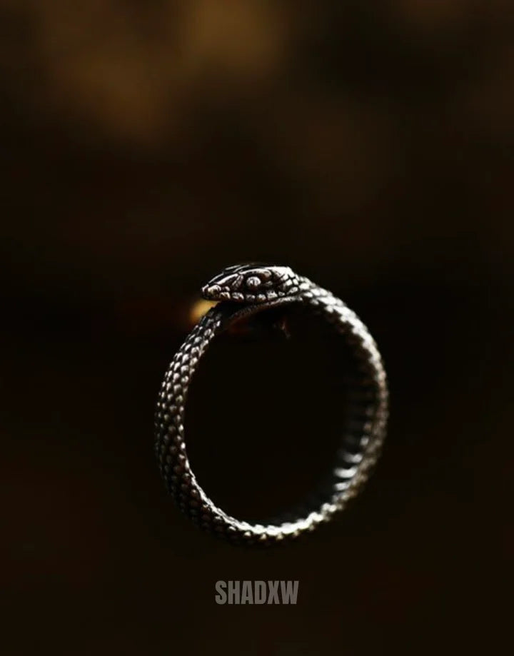 Eternal Loop Ring — product view 12