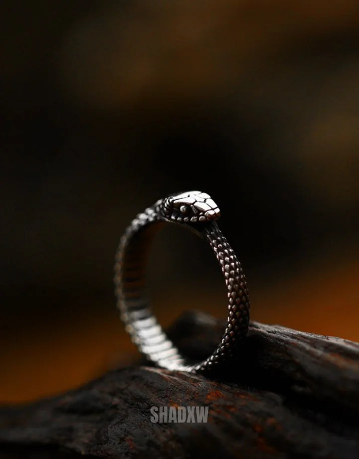 Eternal Loop Ring — product view 16