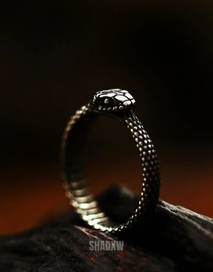 Eternal Loop Ring — product view 13