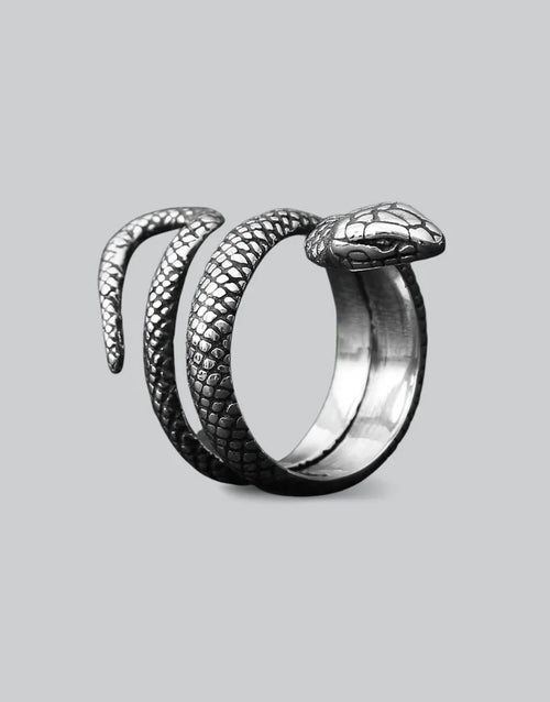 Silver Serpent Ring — product view 1